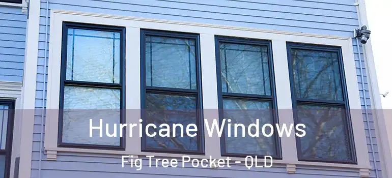 Hurricane Windows Fig Tree Pocket - QLD