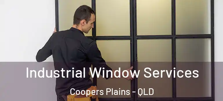  Industrial Window Services Coopers Plains - QLD