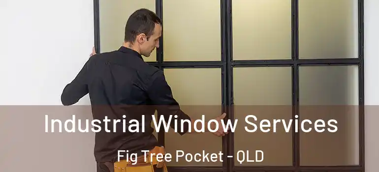 Industrial Window Services Fig Tree Pocket - QLD