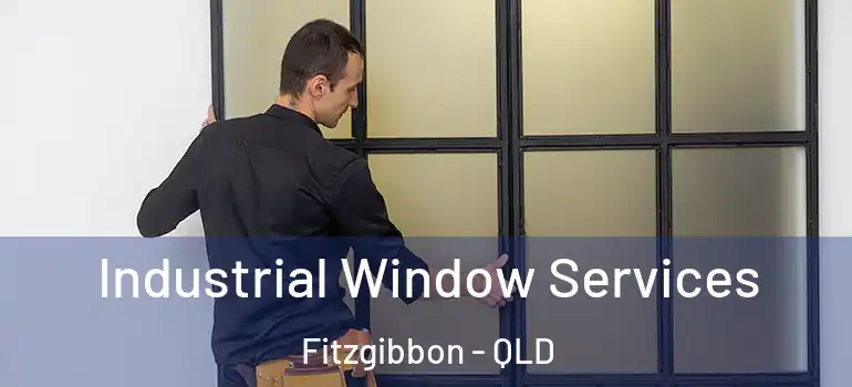Industrial Window Services Fitzgibbon - QLD