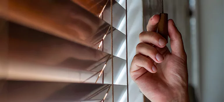 Double Roller Blinds in Brisbane, Queensland