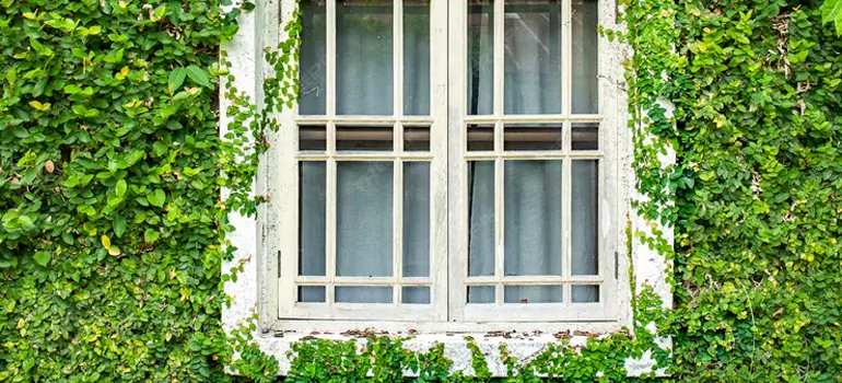 Garden Window Repair Near Me in Brisbane, QLD