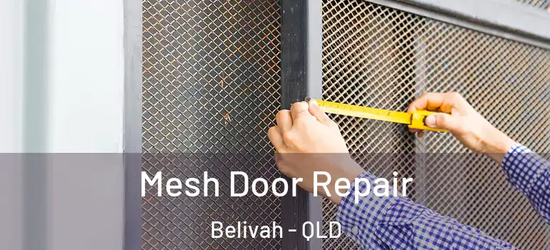 Mesh Door Repair Belivah - QLD