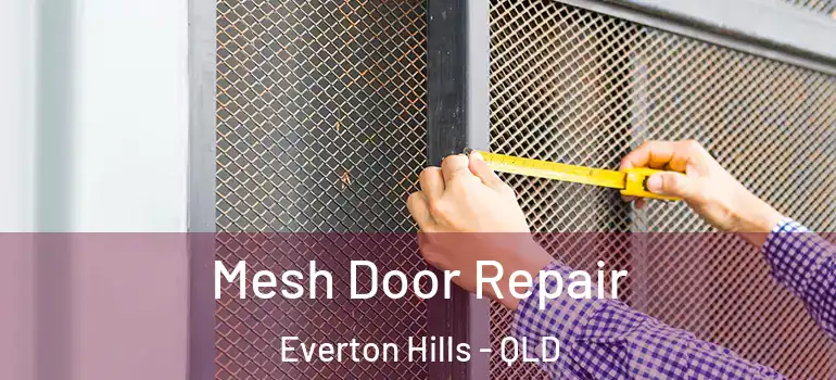 Mesh Door Repair Everton Hills - QLD