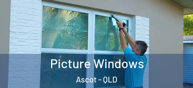  Picture Windows Ascot - QLD