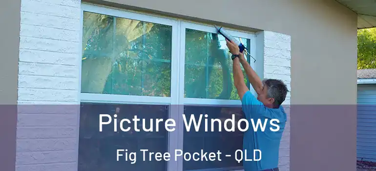Picture Windows Fig Tree Pocket - QLD