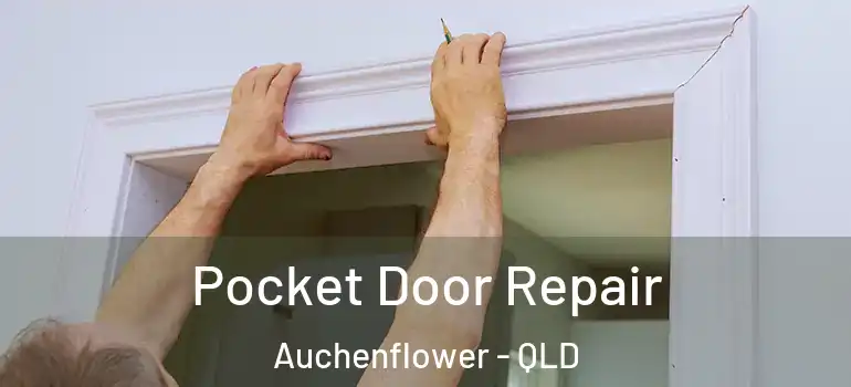 Pocket Door Repair Auchenflower - QLD