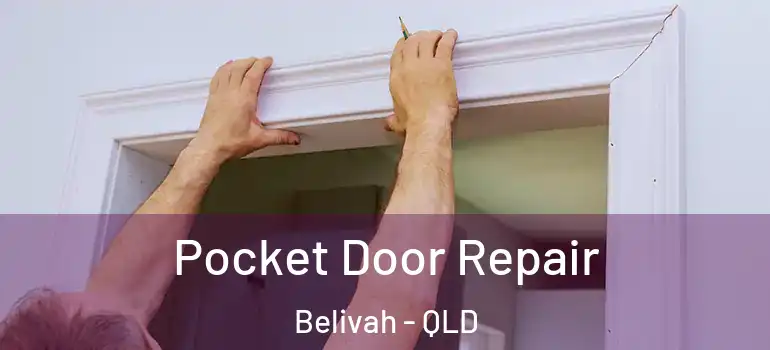 Pocket Door Repair Belivah - QLD