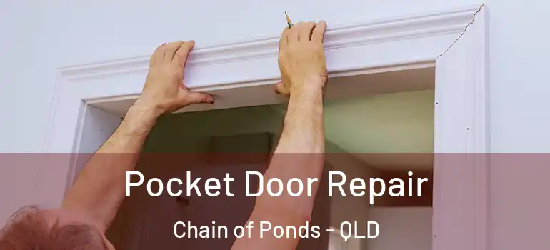  Pocket Door Repair Chain of Ponds - QLD