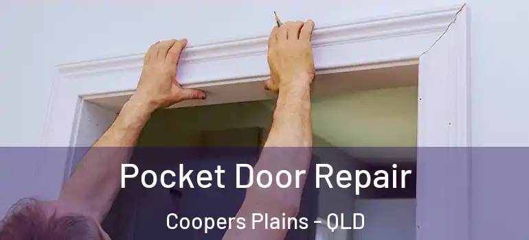 Pocket Door Repair Coopers Plains - QLD