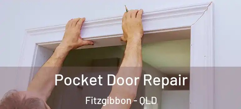 Pocket Door Repair Fitzgibbon - QLD