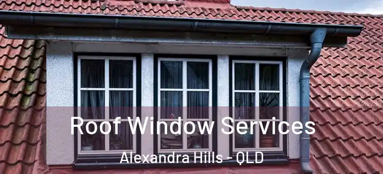 Roof Window Services Alexandra Hills - QLD