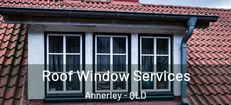 Roof Window Services Annerley - QLD