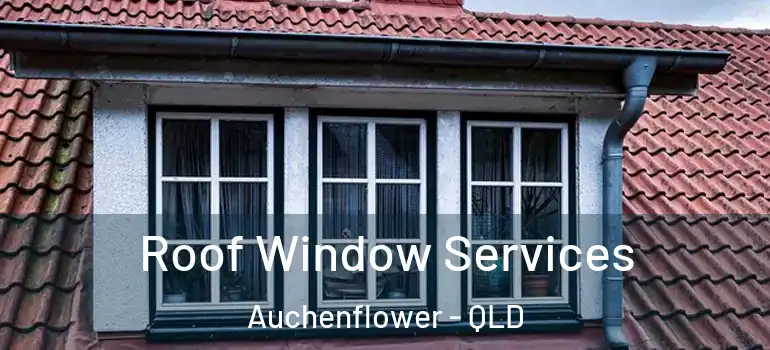 Roof Window Services Auchenflower - QLD