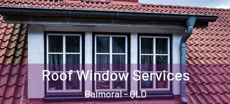Roof Window Services Balmoral - QLD