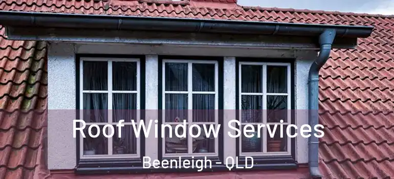Roof Window Services Beenleigh - QLD