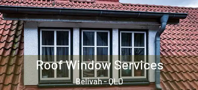 Roof Window Services Belivah - QLD