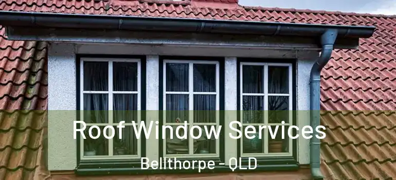 Roof Window Services Bellthorpe - QLD