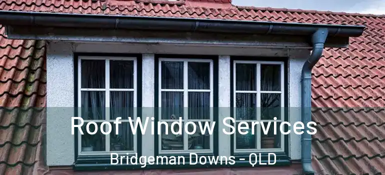 Roof Window Services Bridgeman Downs - QLD