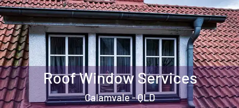 Roof Window Services Calamvale - QLD