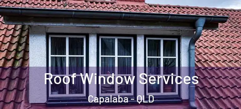 Roof Window Services Capalaba - QLD
