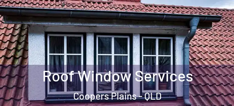 Roof Window Services Coopers Plains - QLD