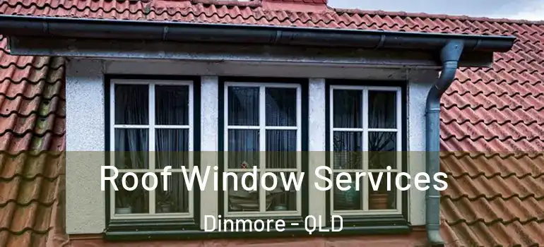 Roof Window Services Dinmore - QLD