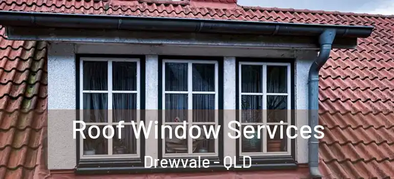 Roof Window Services Drewvale - QLD