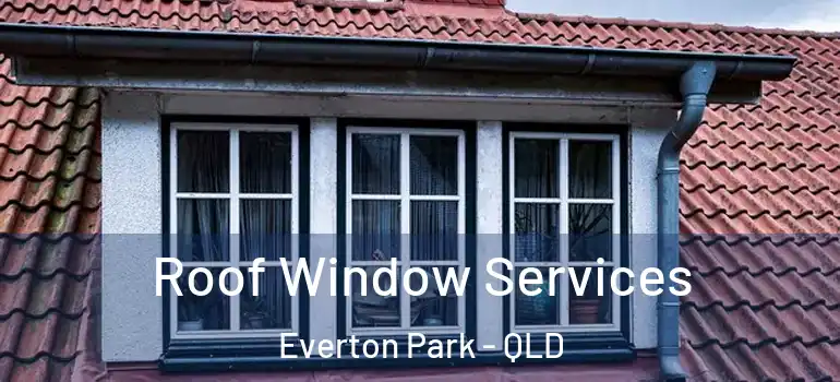 Roof Window Services Everton Park - QLD