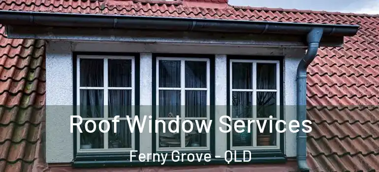Roof Window Services Ferny Grove - QLD