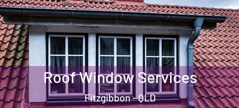 Roof Window Services Fitzgibbon - QLD