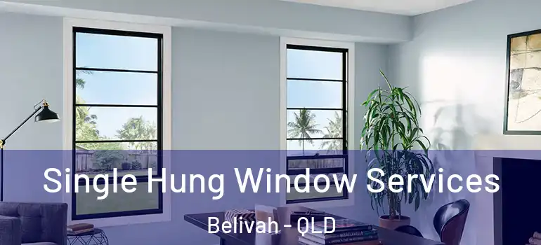 Single Hung Window Services Belivah - QLD