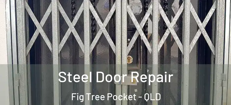Steel Door Repair Fig Tree Pocket - QLD