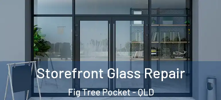 Storefront Glass Repair Fig Tree Pocket - QLD