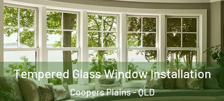 Tempered Glass Window Installation Coopers Plains - QLD