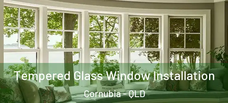  Tempered Glass Window Installation Cornubia - QLD