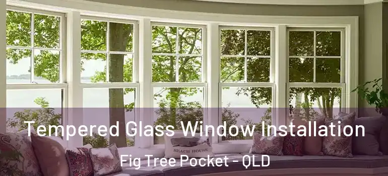 Tempered Glass Window Installation Fig Tree Pocket - QLD