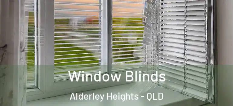 Window Blinds Alderley Heights - QLD