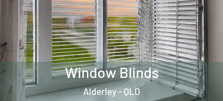  Window Blinds Alderley - QLD