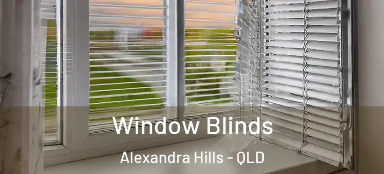 Window Blinds Alexandra Hills - QLD