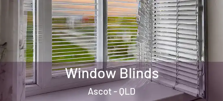 Window Blinds Ascot - QLD