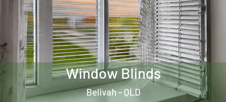 Window Blinds Belivah - QLD