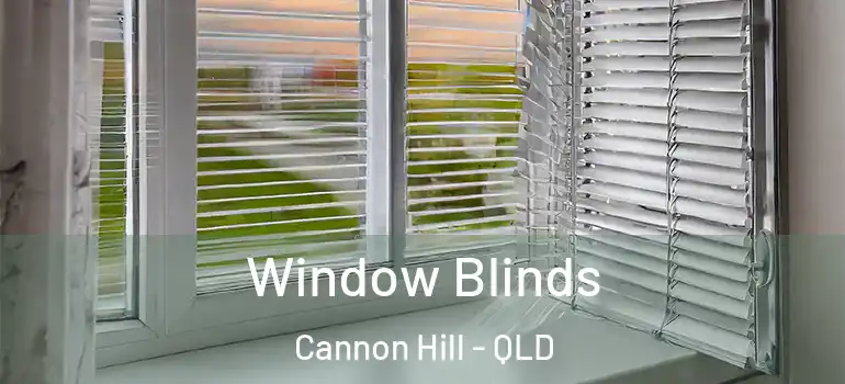 Window Blinds Cannon Hill - QLD