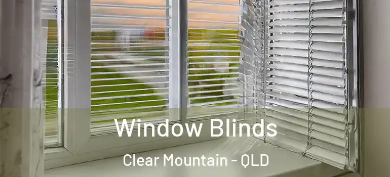 Window Blinds Clear Mountain - QLD