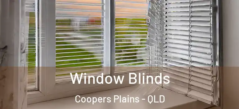 Window Blinds Coopers Plains - QLD