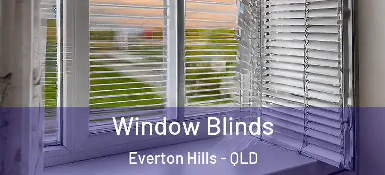 Window Blinds Everton Hills - QLD