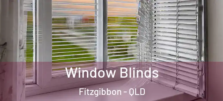 Window Blinds Fitzgibbon - QLD