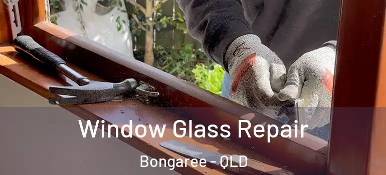 Window Glass Repair Bongaree - QLD