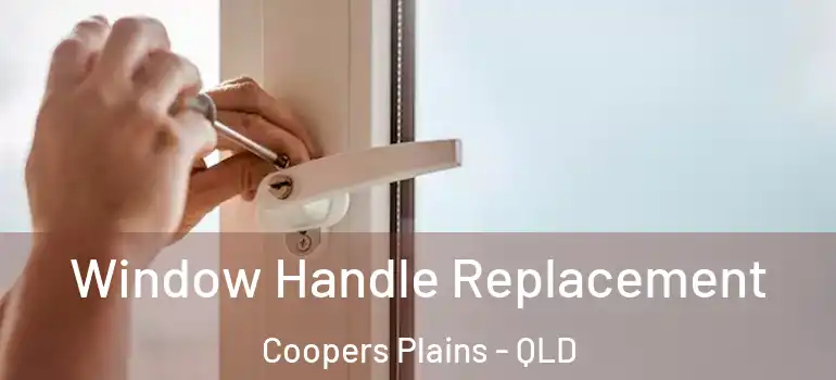 Window Handle Replacement Coopers Plains - QLD