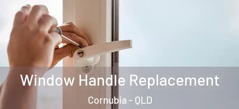 Window Handle Replacement Cornubia - QLD